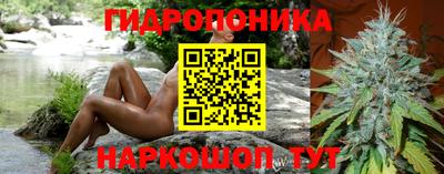 герыч Будённовск